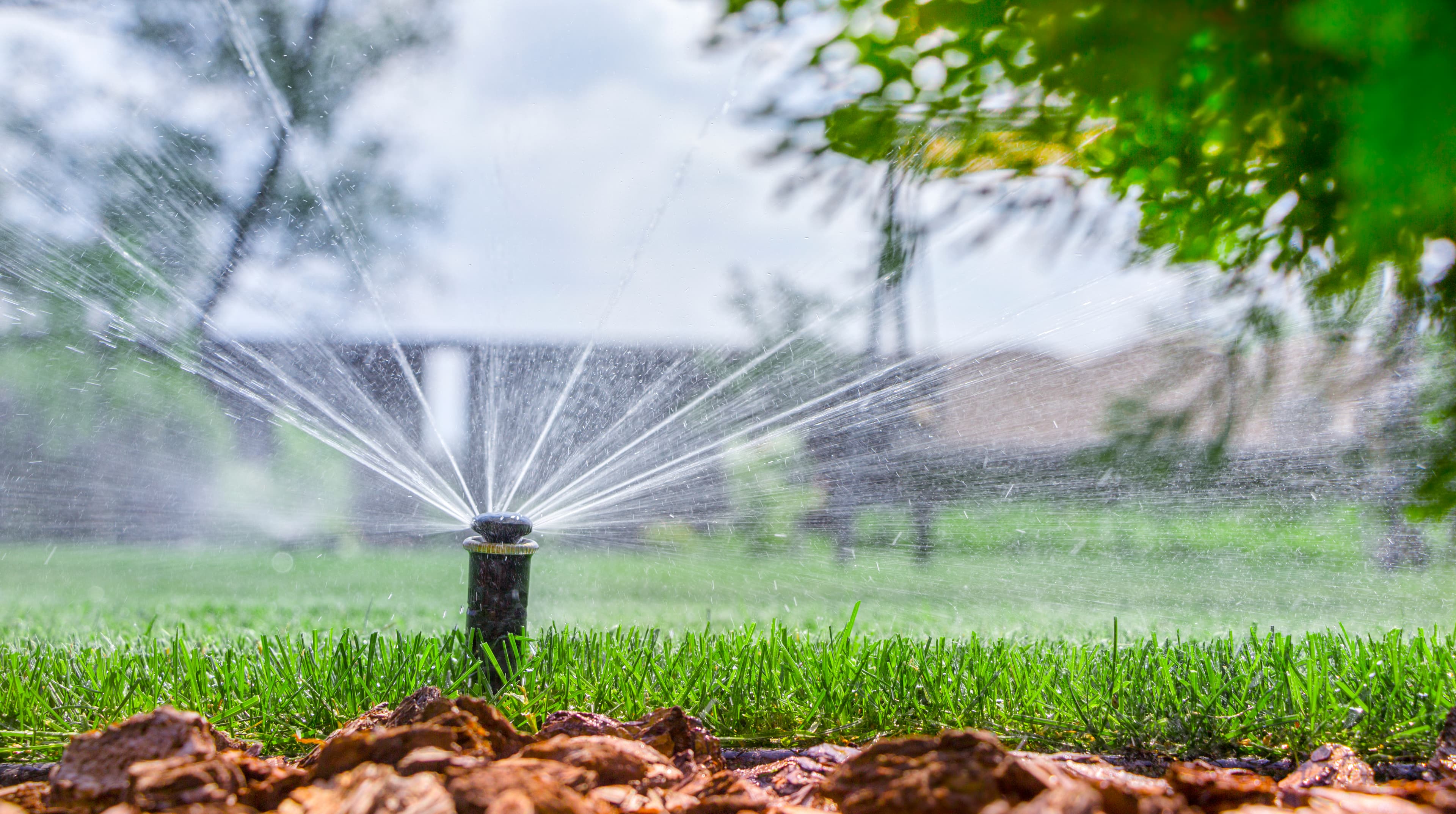 Irrigation Maintenance/Repair