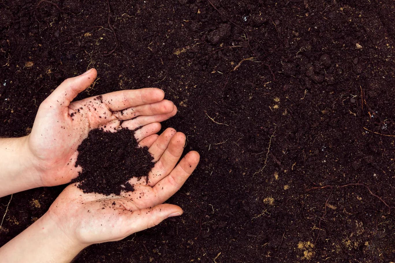 Soil remediation and lawn soil treatment in Richmond VA