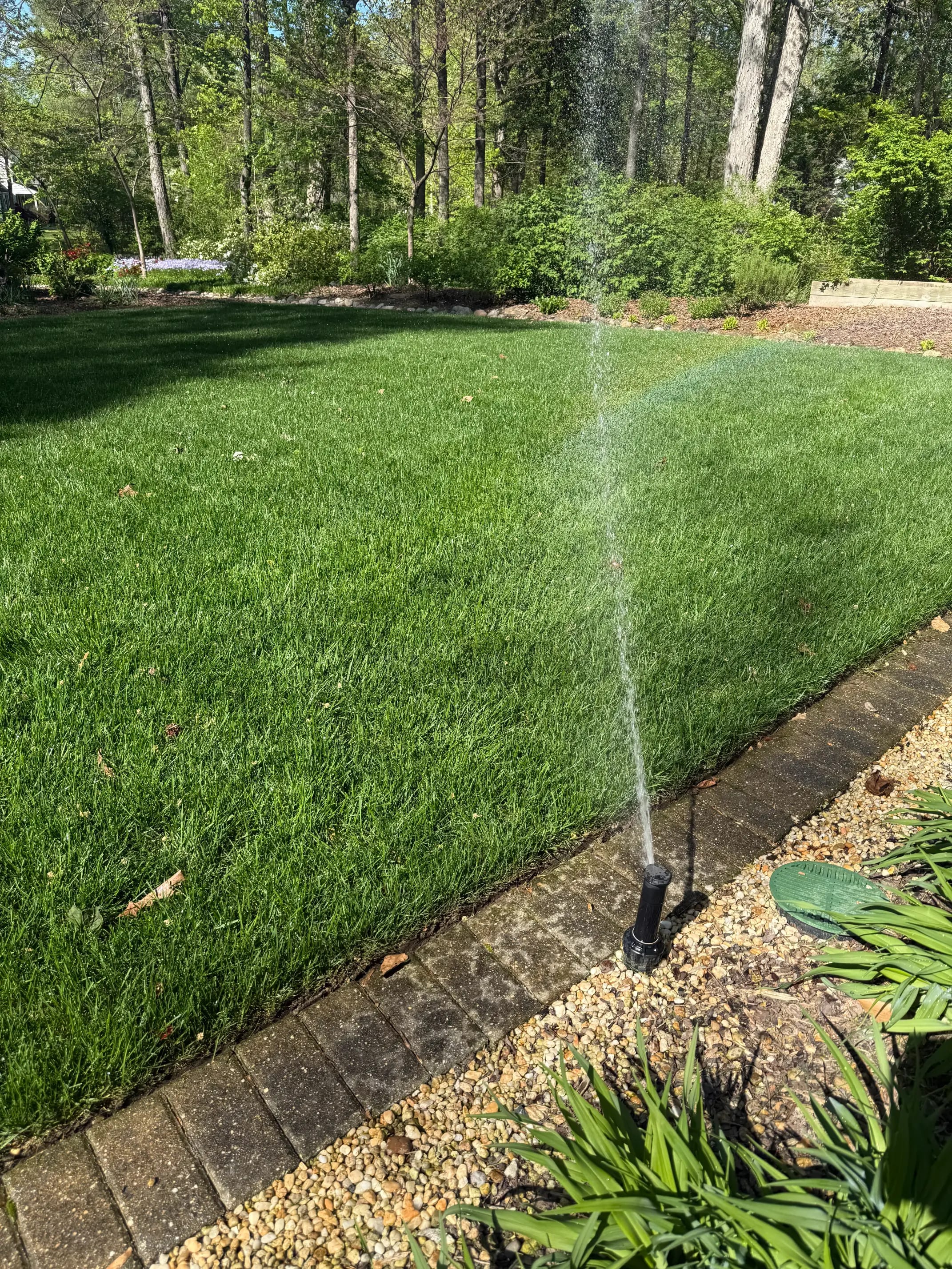 Sprinkler head spraying treated client yard - Professional lawn care service